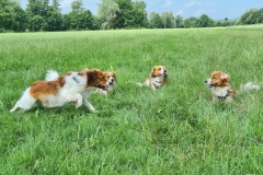 20210626_Aaron_Aria_Anouk_Enya