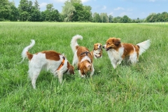 20210626_Aria_Anouk_Enya_Aaron