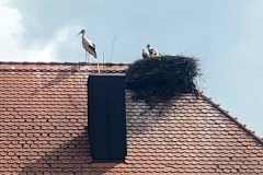 20210626_Stoerche_01