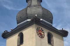 20210626_Stoerche_02