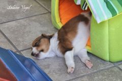 20190629_1553
