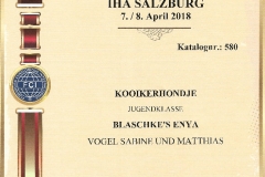 20180407_Enya_IHA_Salzburg_V1