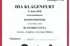 20180609_Enya_IHA_Klagenfurt_V1