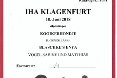 20180610_Enya_IHA_Klagenfurt_V1