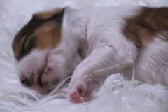 IMG_8175
