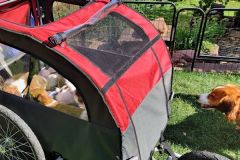 IMG_20200822_162449