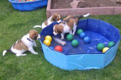 IMG-20200905-WA0003