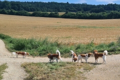 B-Wurf_Treffen_004