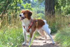 B-Wurf_Treffen_026