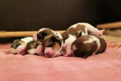 IMG-20211116-WA0020