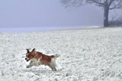 IMG_3427