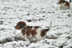 IMG_3434