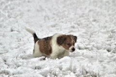 IMG_3483