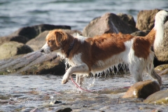 Enya_und_Wasser_01