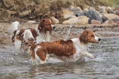 Enya_und_Wasser_02