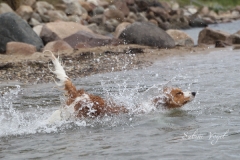 Enya_und_Wasser_03