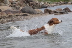 Enya_und_Wasser_04