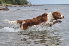 Enya_und_Wasser_05