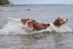 Enya_und_Wasser_06