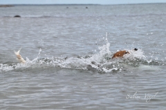 Enya_und_Wasser_07