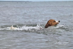 Enya_und_Wasser_08