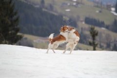 Spielen_01
