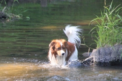 Wo_ist_der_Ball