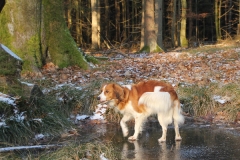Eislaufen_01