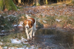 Eislaufen_02