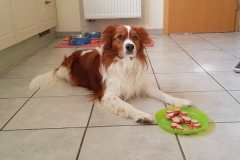 Chaccos_8.Geburtstag