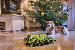 Enya_Weihnachten