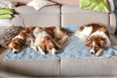 20210504_Aria-Enja-Chacco