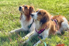 20210505-Chacco_u_Enya