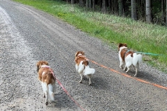 20210505-Enya_Aria_Chacco