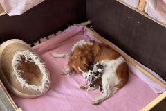 Foto-25.03.22-09-04-09