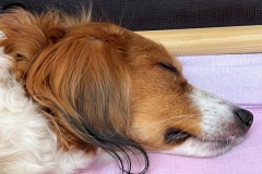 Foto-25.03.22-11-36-33