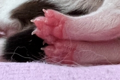 Foto-25.03.22-11-37-23