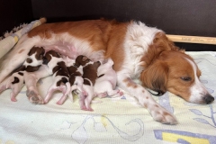 Foto-29.03.22-16-32-26