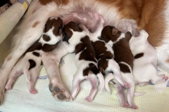 Foto-29.03.22-16-32-34