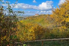 Weinberge_Ipsheim_01