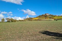 Weinberge_Ipsheim_10