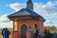 Weinberge_Ipsheim_11